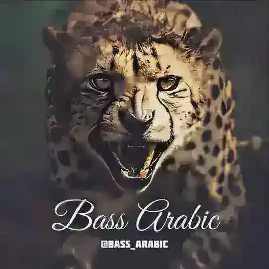 ◇ 𝗕𝗔𝗦𝗦 𝗔𝗥𝗔𝗕𝗜𝗖 ◇