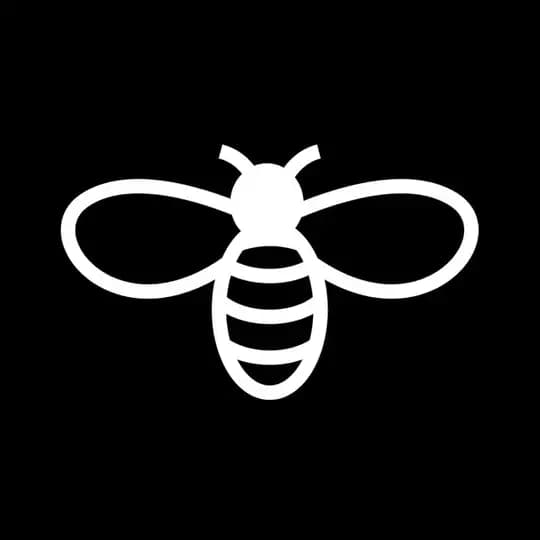 BEES🐝