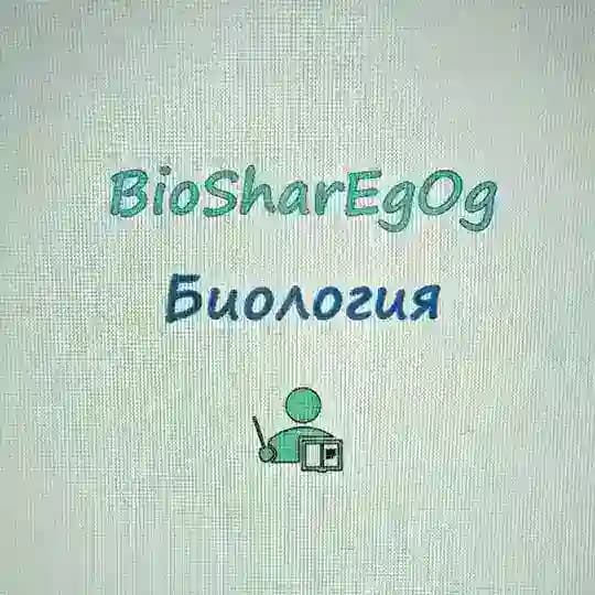🌻БиоШар: прогулки с Орбами👻