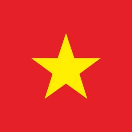 Tiếng Việt dịch ngôn ngữ Cài đặt ngôn ngữ tiếng Việt Profile