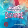 Фестиваль чувственного просвещения Bizarre