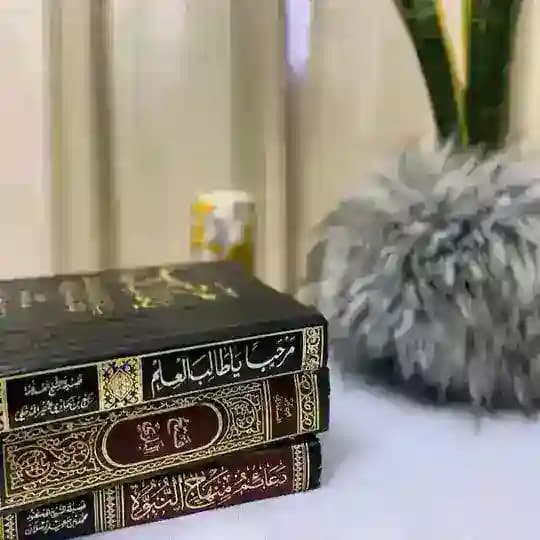 مَحْبَرَةُ السُّنَّة ㅤ