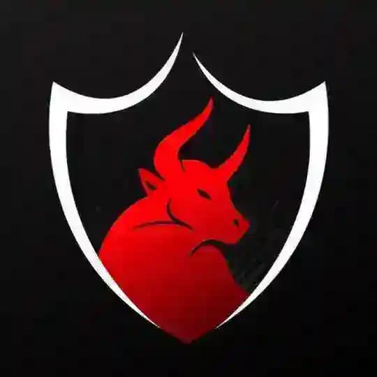 Booming Bulls Academy Original ™️