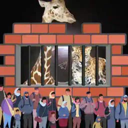 United States Mexico border is an ecocide - La frontera entre Estados Unidos y México es un ecocidio - Defending animal rights Profile