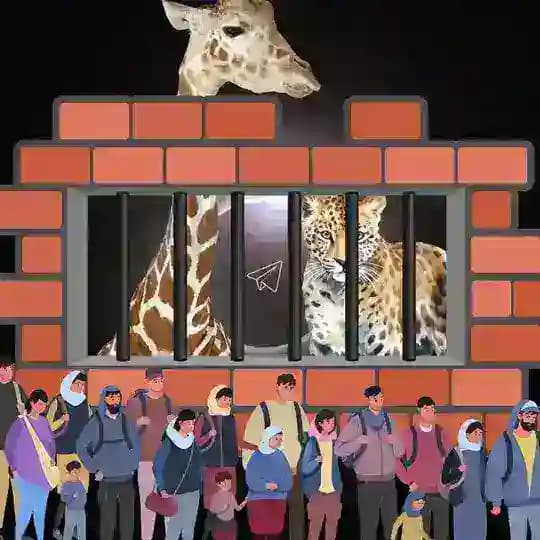 United States Mexico border is an ecocide - La frontera entre Estados Unidos y México es un ecocidio - Defending animal rights Profile