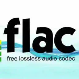 ғʟᴀᴄ sᴏɴɢs 🎶 Profile