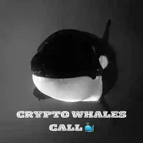 🐳CRYPTO WHALES CALL 中国🐳