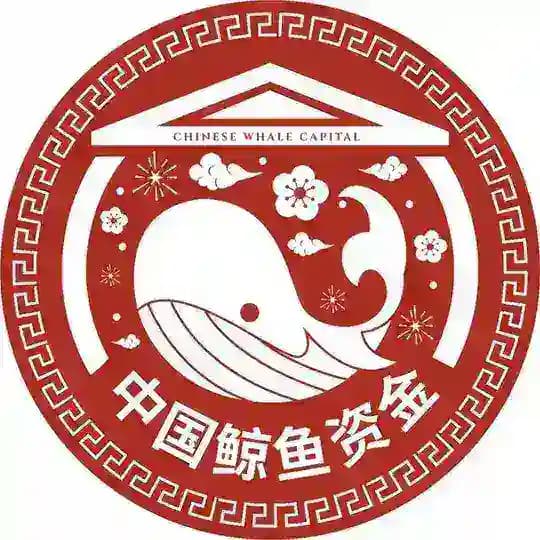 Chinese Pump Capital | 中国鲸鱼资金🇨🇳🐳🚀🌖