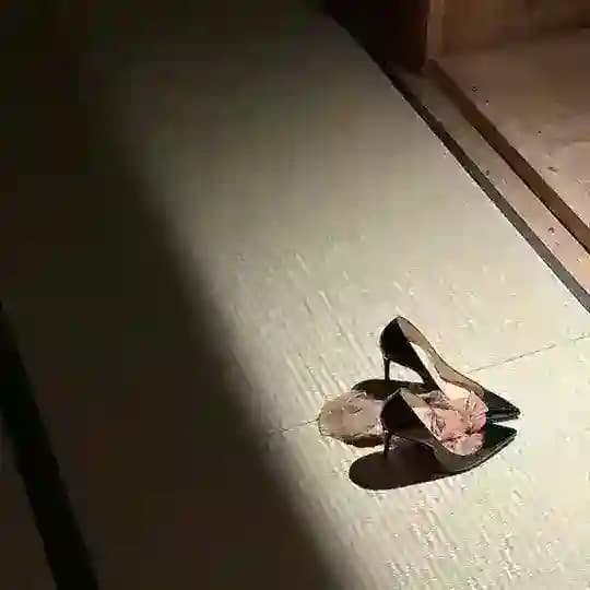 春朝频道