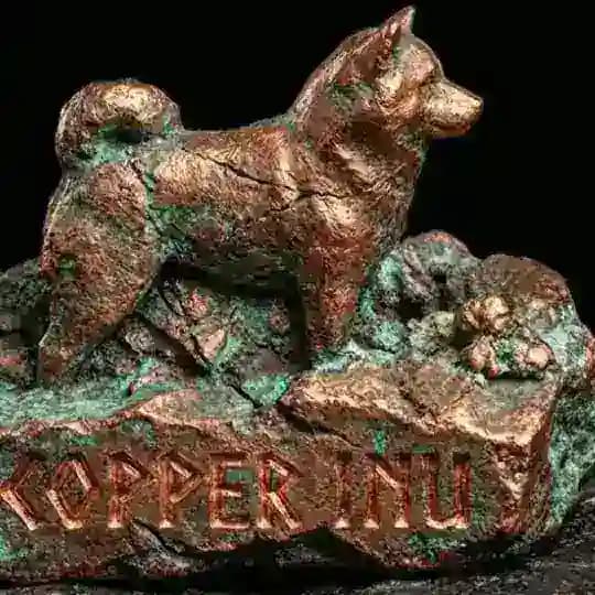 COPPERINU Portal