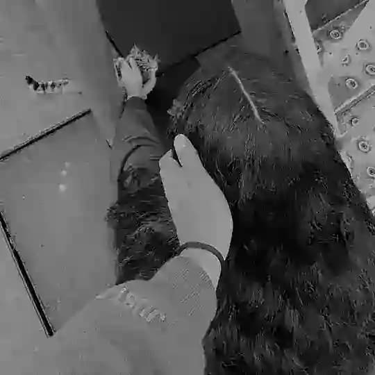 𝘋𝘈𝘙𝘒𝘏𝘌𝘈𝘙𝘛 Profile