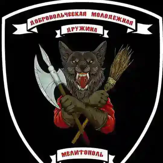 Добровольческая молодежная дружина