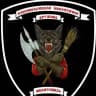 Добровольческая молодежная дружина