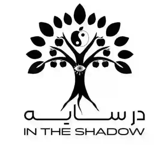 In the shadow در سایه