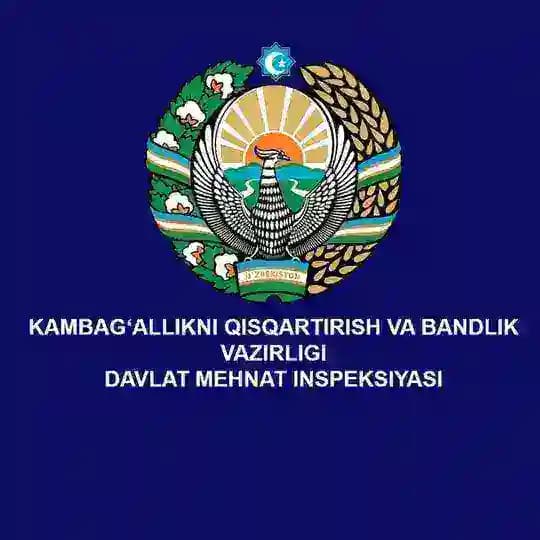 Davlat mehnat inspeksiyasi
