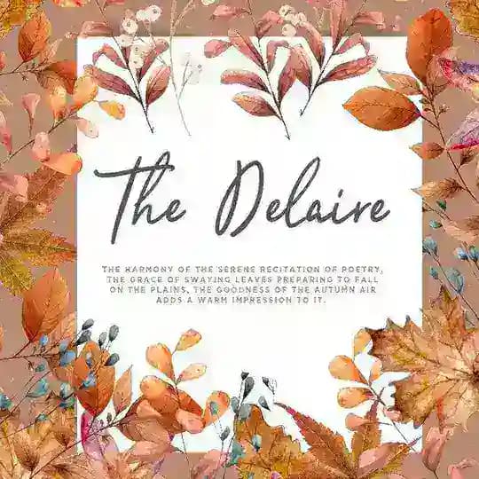 Delaire File Profile