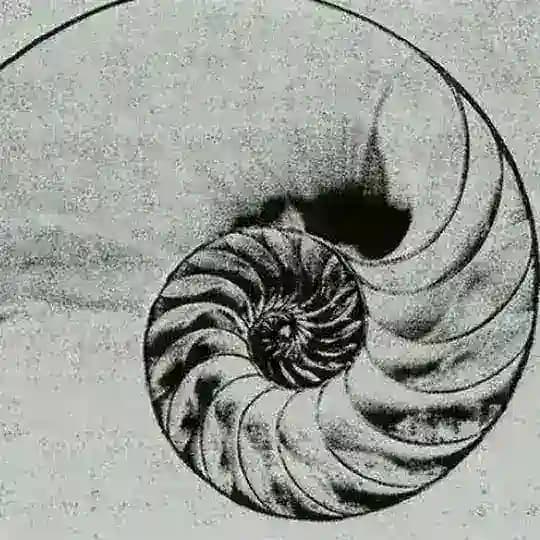 DIE FAKIF
