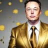 Crypto Musk