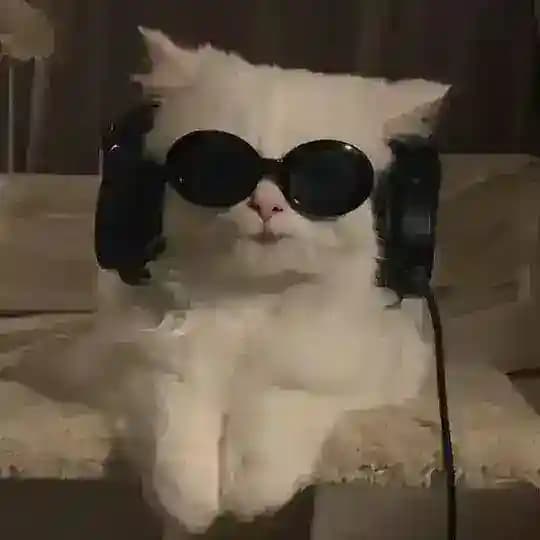 مَبتهمنيِش .