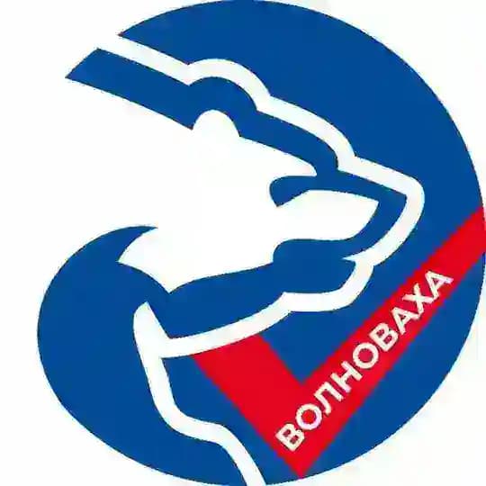 ВОЛНОВАХА|ЕДИНАЯ РОССИЯ