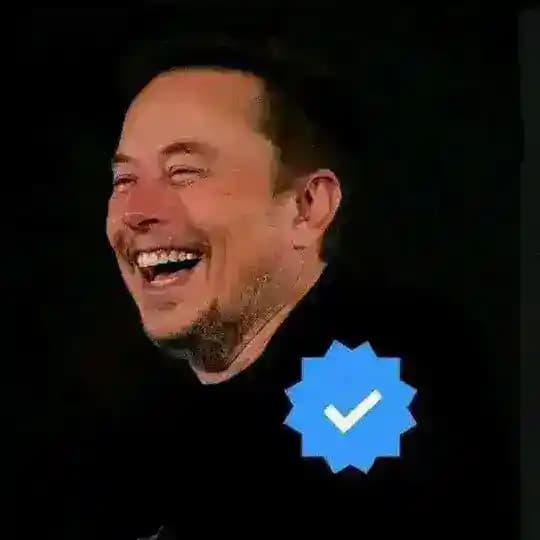 Elon Reeve Musk Tesla