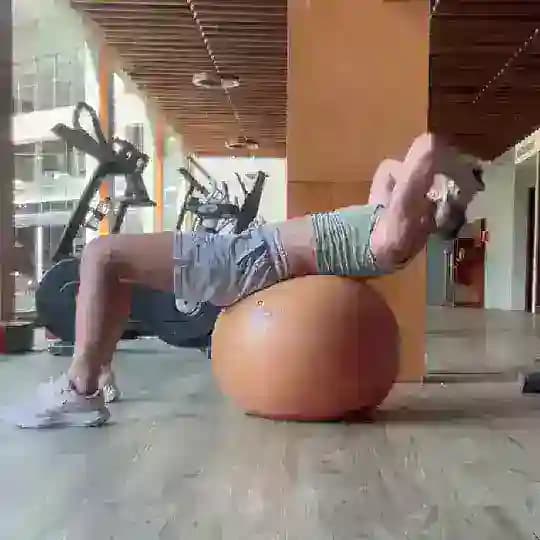 FitКатики