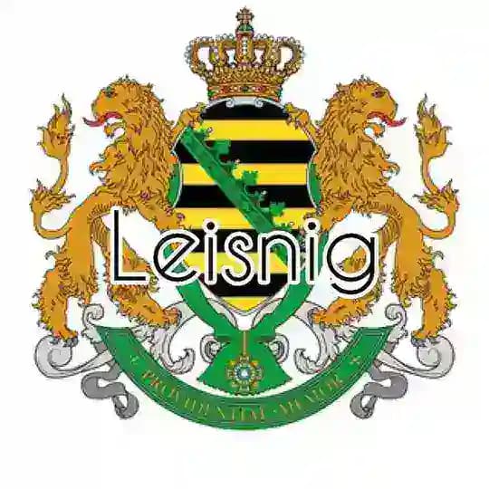 FREIE SACHSEN Leisnig Profile