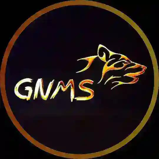 GNMS Editz 🪄 - Back-up ️