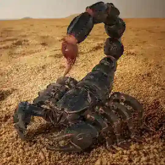 🦂σκορπιός Group🦂