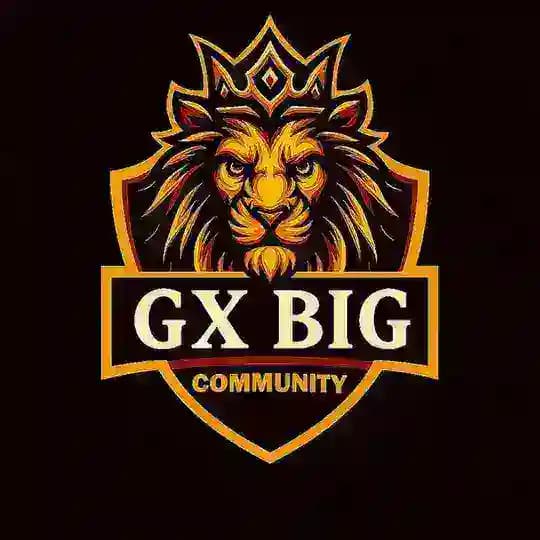 𝗚𝗫 𝗕𝗜𝗚 𝗖𝗢𝗠𝗠𝗨𝗡𝗜𝗧𝗬 Profile