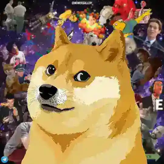 Memes Gallery