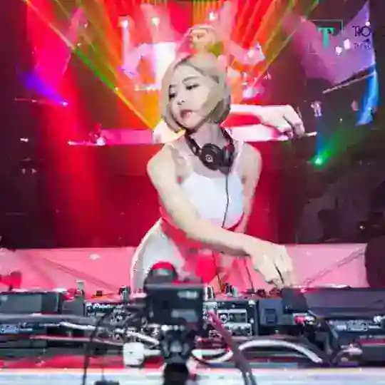 Gia Phả Nhạc Bay Phòng Profile