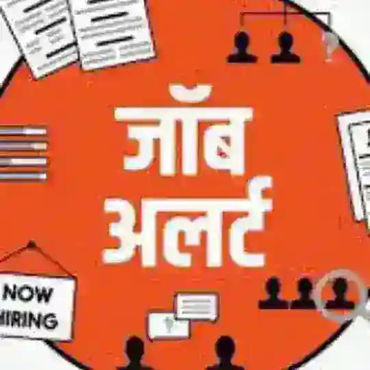 Job katta 🎯