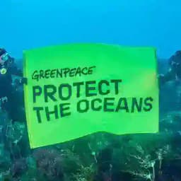 Greenpeace on Telegram by GRT : España / France / Italia / Germany / Deutschland / Росси́я / Nederland / Brasil / International Profile