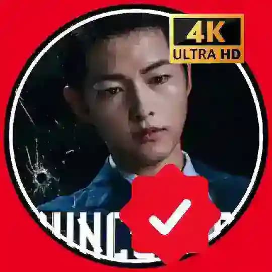 Vincenzo KoreaN Drama In HinDi Dubbed