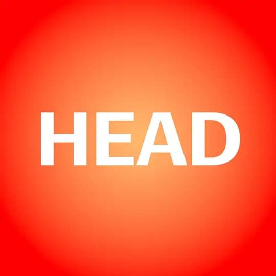 HEAD Times