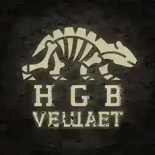 HGB-Vещает