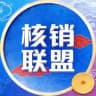 🅰️核销联盟 搬砖赚钱 一部手机即可开工 小白可教