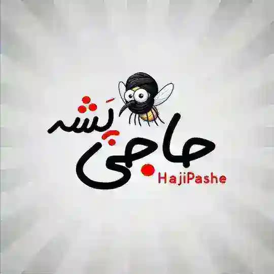 حاجی پشه