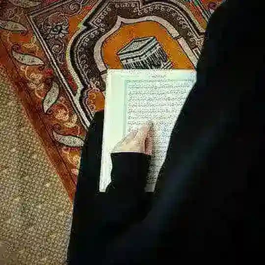 حنان محمود لاشين