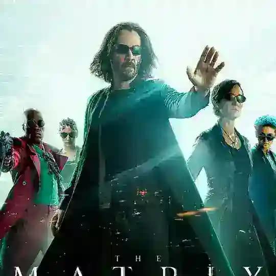 Hollywood Movies Profile