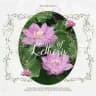 House of Letheris: Sanctuary of Lotus-Tinted Quiet.