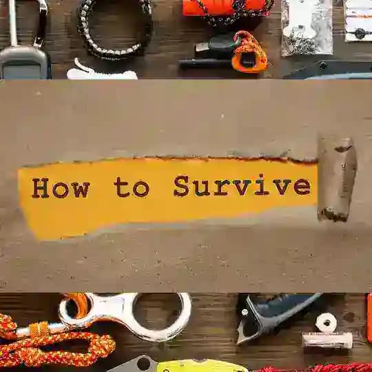 How to Survive - Krisenvorsorge Profile