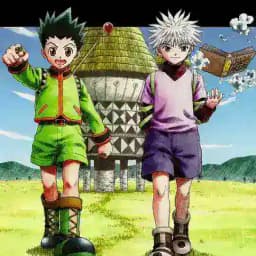 Hunter X Hunter VF Profile