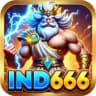 IND666