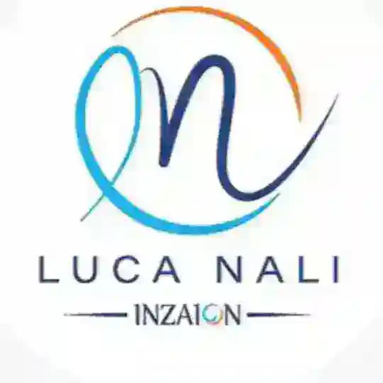 INZAION di Luca Nali