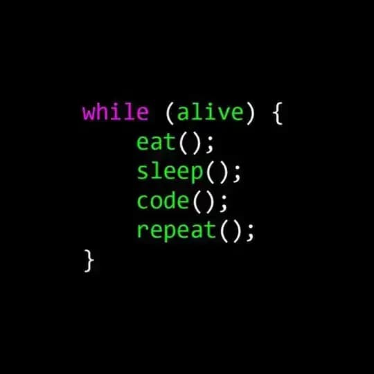 Pro IT 👨‍💻