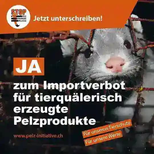 Ja zum Importverbot für tierquälerisch erzeugte Pelzprodukte / Stopfleber / eine Einschränkung von Feuerwerk Profile