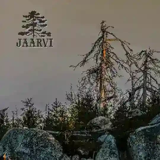 Jaarvi