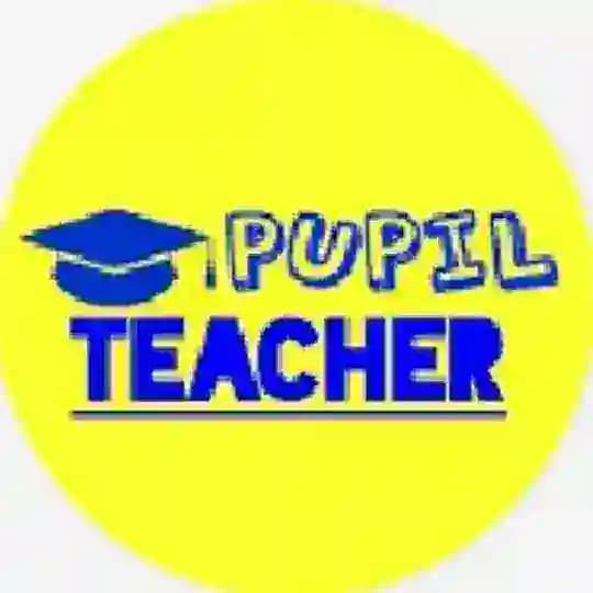 Pupil Teacher
